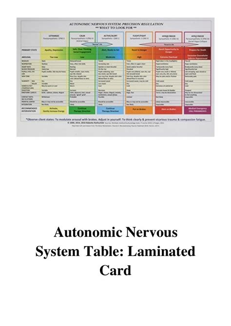 Read Autonomic Nervous System Table Laminated Card 