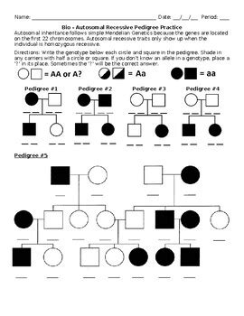 Autosomal Pedigrees Worksheet