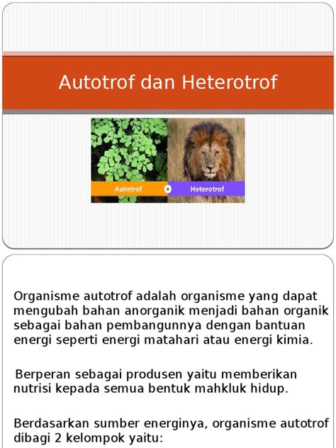 autotrof dan heterotrof