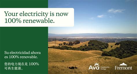 Ava Renewable 100