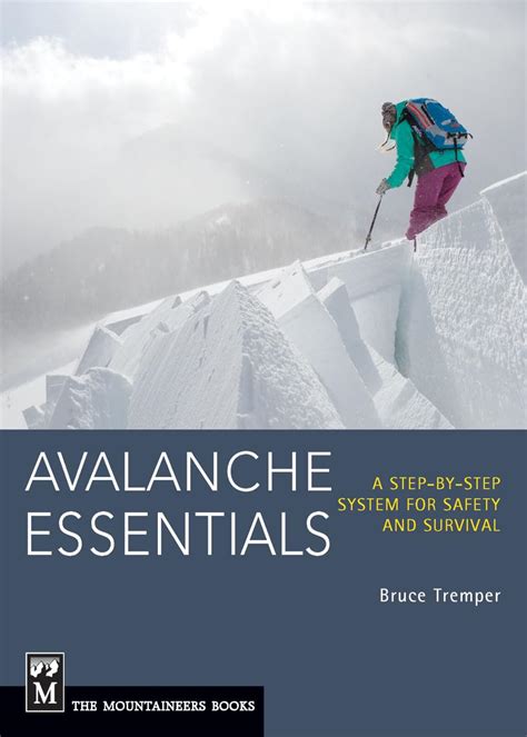 avalanche essentials a step by step system for sa