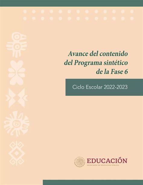Avance Programa Sintetico Fase 6 3