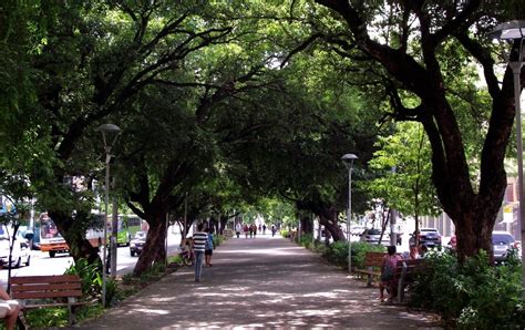 Avenida Frei Serafim