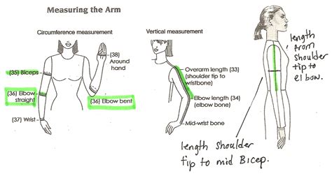 Average Arm Length