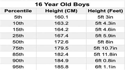 Average Height For A 16 Year Old Male