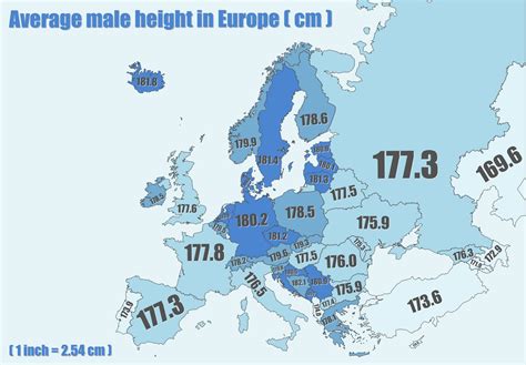 Average Height In Netherlands