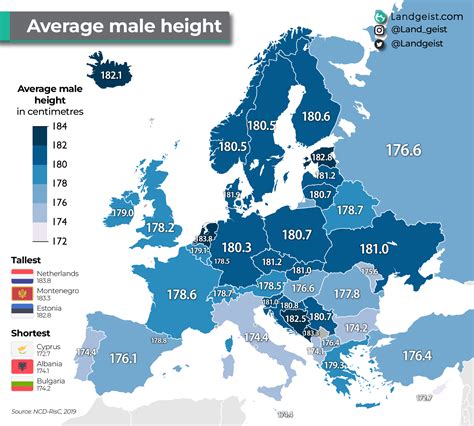 Average Height In Poland