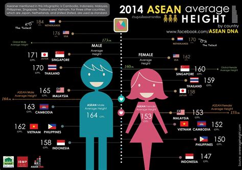 Average Height Of An Asian