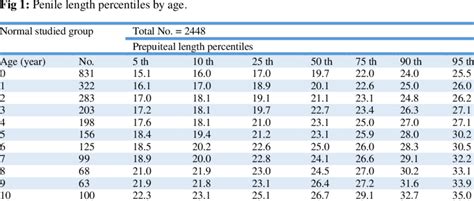 Average Penile Length Uk