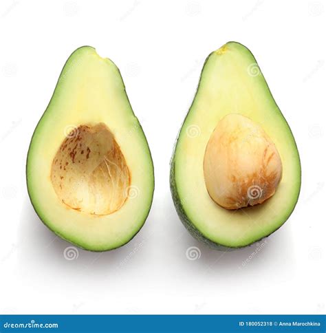 Avocado Whole And Cross Section Dot To Dot Cross Section Worksheet - Cross Section Worksheet