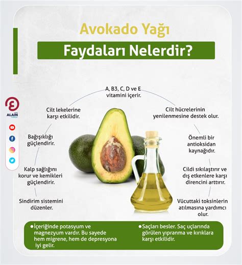 avokado yağı faydaları