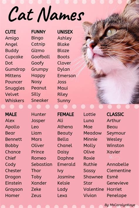 awesome cat names girl