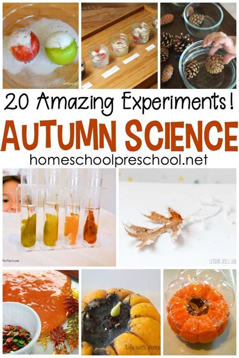 Awesome Fall Science Activities The Homeschool Scientist Fall Science Activities - Fall Science Activities