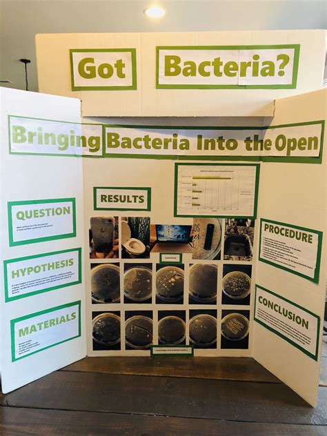 Awesome Science Fair Project The Bacteria Science Project Bacteria Science Experiment - Bacteria Science Experiment