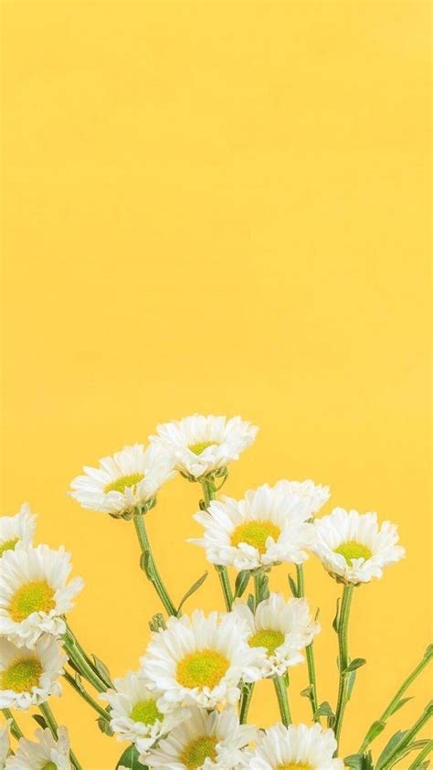 Awesome Yellow Aesthetic Desktop Wallpapers Wallpaperaccess Cute Wallpapers Aesthetic Yellow - Cute Wallpapers Aesthetic Yellow