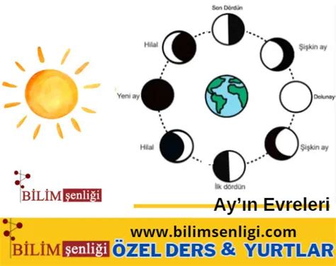 genssuffweb.rgarabwor.edu.pl. 