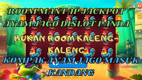 Agen Taruhan Togel, Slot, Bola, Tangkas, Sabung