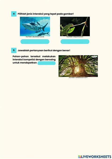 AYO4D LIVE - Pgsoft APK untuk Unduhan Android