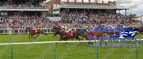 ayr gold cup 2022