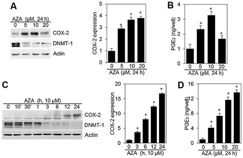 HMG-CoA reductase (HMGCR) is regulated by UBIA