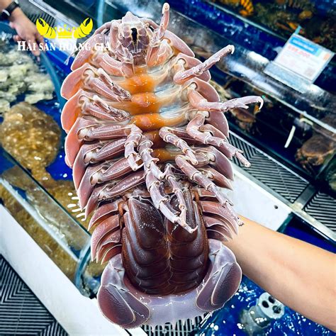 bọ | B cht s g nht Nhng cch