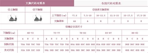 b罩杯有多大图片 胸罩罩杯尺寸说明表_网易订阅 - 163