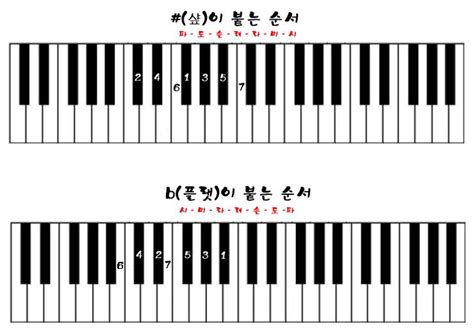 b 코드 피아노