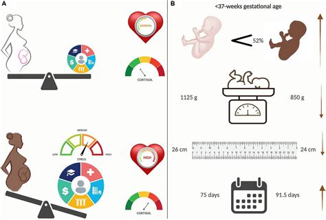 veodersti.rgarabwor.edu.pl. 