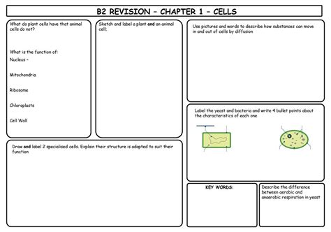B2 Revision Chapter 1 Cells Kingswood School