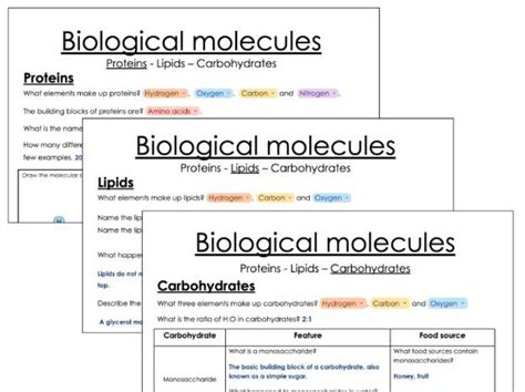 B3 1 Biological Molecules Igcse Aid Biological Molecules Worksheet Answer Key - Biological Molecules Worksheet Answer Key