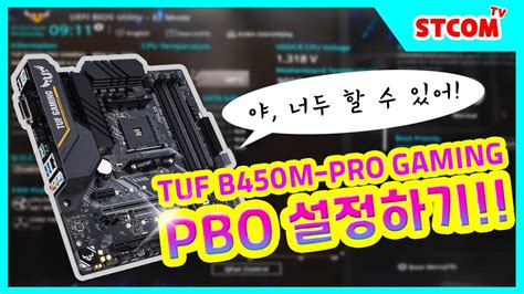 b450 프로 카본 pbo
