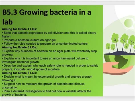 B5 3 Growing Bacteria In A Lab Teaching Growing Bacteria Lab Worksheet - Growing Bacteria Lab Worksheet