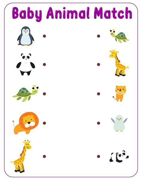 Baby Animal Match Up Worksheet Education Com Animals And Their Babies Matching - Animals And Their Babies Matching
