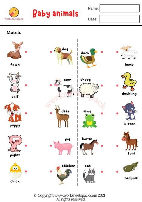 Baby Animals Worksheet Worksheet On Animals And Their Babies - Worksheet On Animals And Their Babies