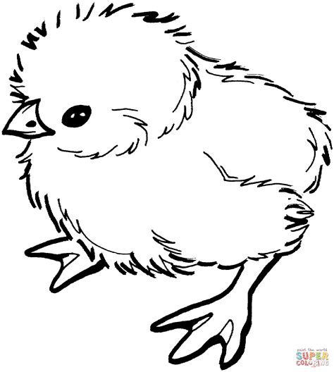 Baby Chicken Coloring Page Free Printable Pdf From Baby Chickens Coloring Pages - Baby Chickens Coloring Pages