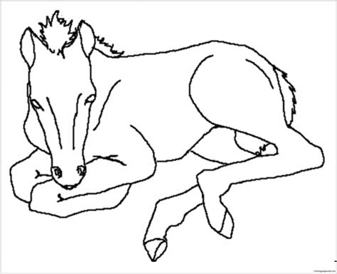 Baby Horse Coloring Pages 8211 Color On Pages Baby Horse Coloring Pages - Baby Horse Coloring Pages