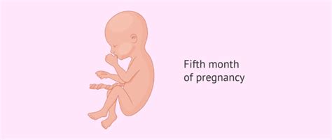baby movement in 5 month