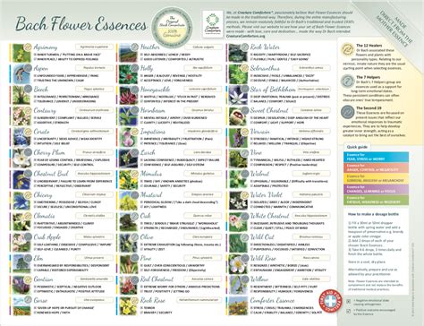 Read Bach Flower Reference Guide 