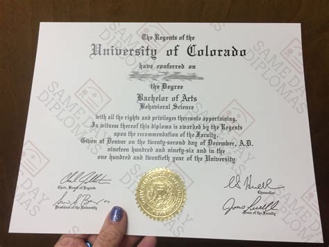 bachelor diploma