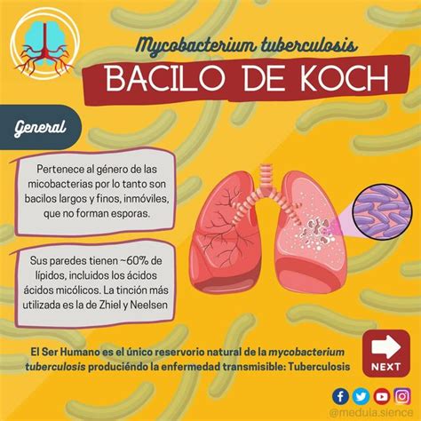 Bacilo De Koch