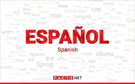 Back In Spanish Language