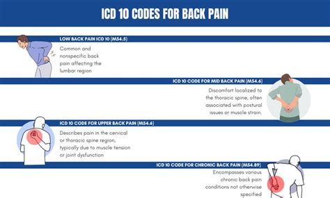 Back Pain Icd10