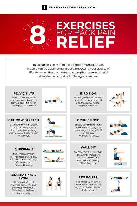 back pain relief a guide to understanding back pa