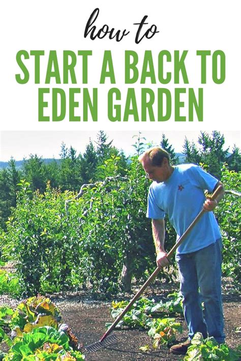 Back To Eden
