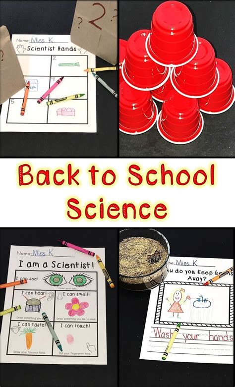 Back To School Science Activities Puzzles And Worksheets Science Puzzles Worksheets - Science Puzzles Worksheets