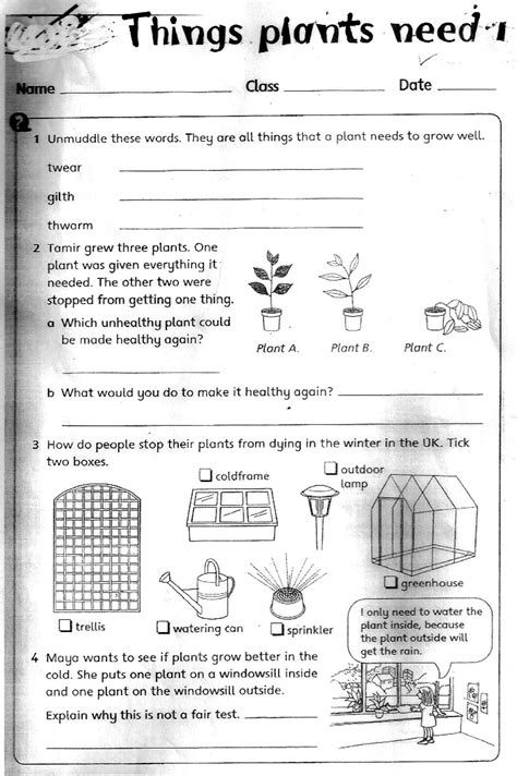 Back To School Worksheets Harcourt Science Grade 2 Worksheets - Harcourt Science Grade 2 Worksheets