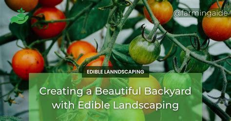 Backyard Farming Tips Edible Indy