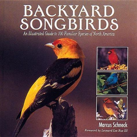 Read Online Backyard Songbird Guide 