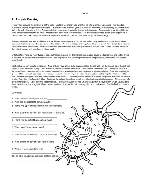 Bacteria And Virus Worksheets Characteristics Of Bacteria Worksheet Answers - Characteristics Of Bacteria Worksheet Answers