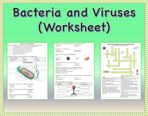 Bacteria And Virus Worksheets Easy Teacher Worksheets Bacterial Cell Worksheet Answers - Bacterial Cell Worksheet Answers